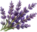 Patchouli