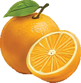 Orange Blossom
