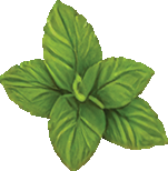Mint Dew