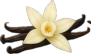 Vanilla